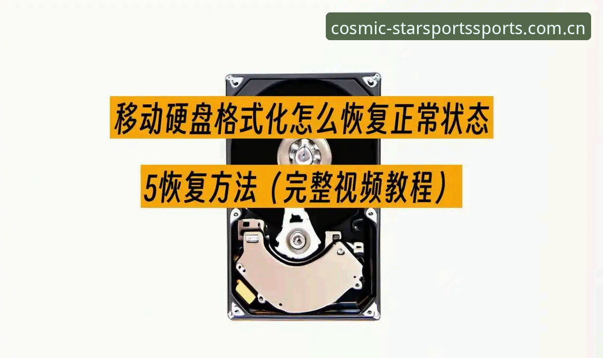 新手必看：星空体育移动版安全性完整指南与使用教程