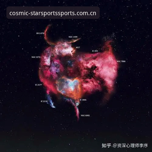 深度体验星空体育平台安全性：资深用户的使用心得与实战分析